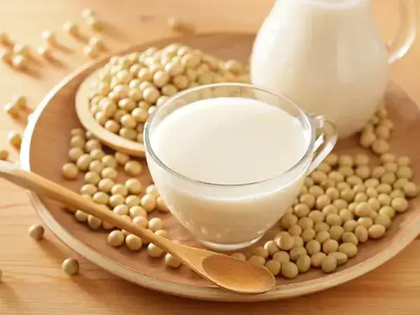 豆桨内含拥有更多的蛋白