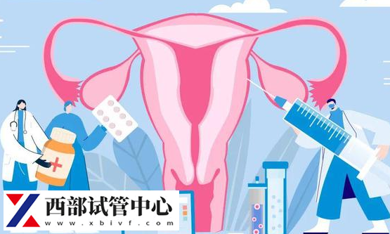 子宫内膜异位症影响女性生育