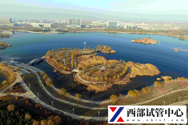金昌试管婴儿