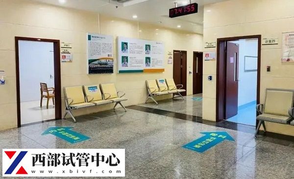 部分医院在取卵后通知一周后看结果