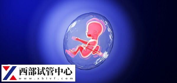 试管婴儿术前AMH检查是什么?