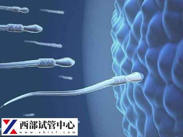 供精试管一次不成功能用原来的供精