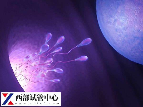 贵州有两家公立医院开展了三代试管婴儿技术