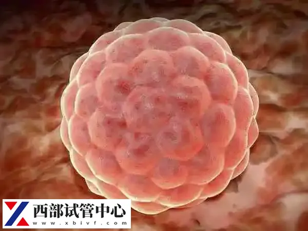 心理状态会影响试管成功率