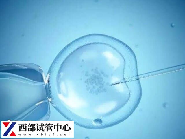 试管移植是现代医学技术的一项重要成果