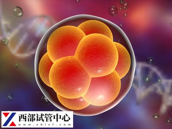 胚胎质量一般也可以进行移植