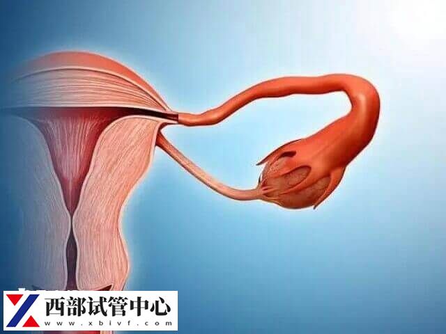 子宫偏小会导致内膜容受性差