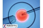b级胚胎能不能养成囊胚提前知，附养囊成功