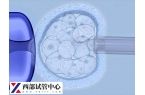 三级胚胎养囊好还是冷冻好快瞧，对比好处和